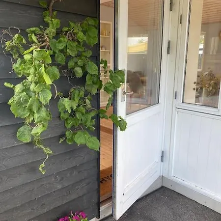 Cosy - 300 M To Beautiful And Cafes *